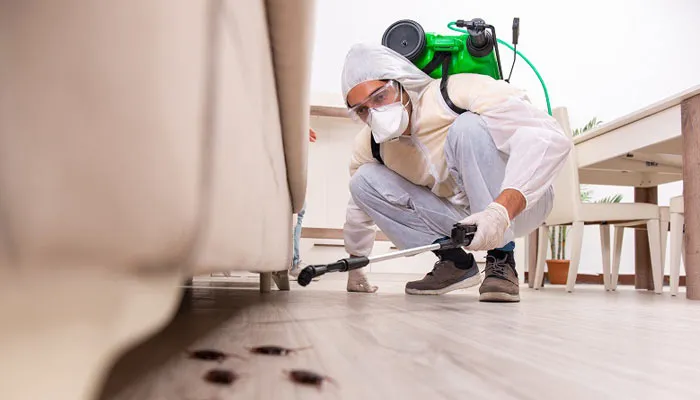 Apartment Termite Control 4 BHK