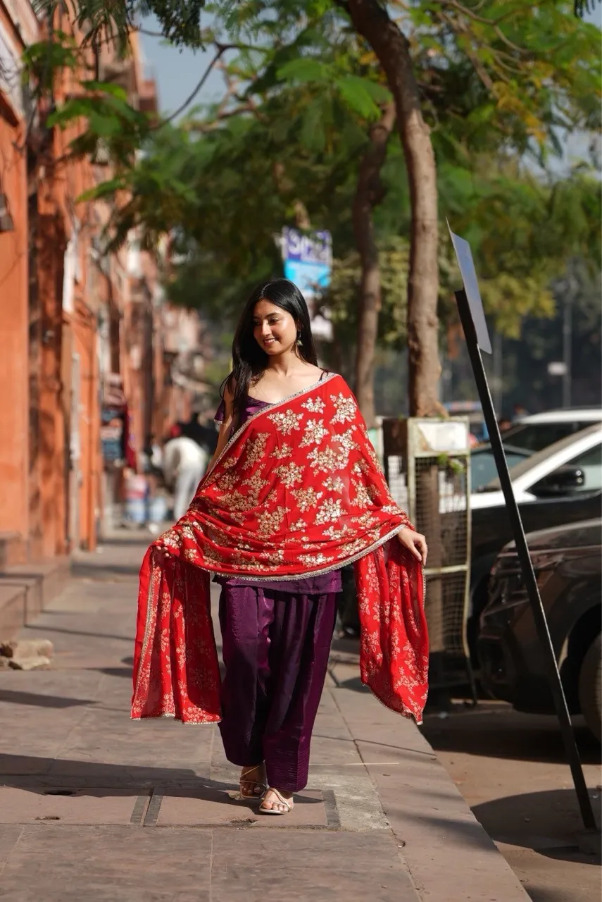 ‘Fasana’ Farshi Salvar Set - Purple view 2