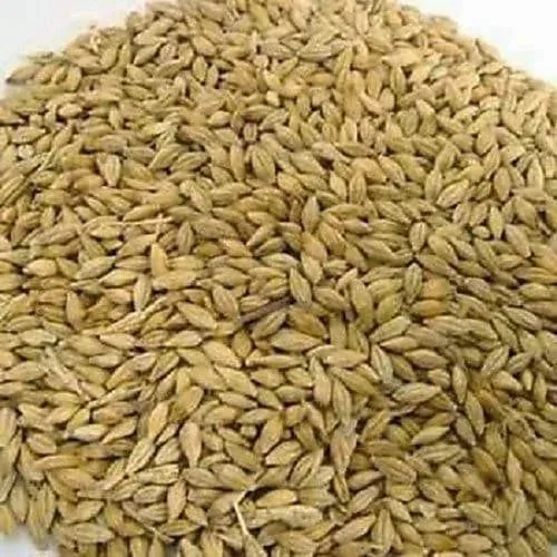 Jo (Barley) 1kg view 2