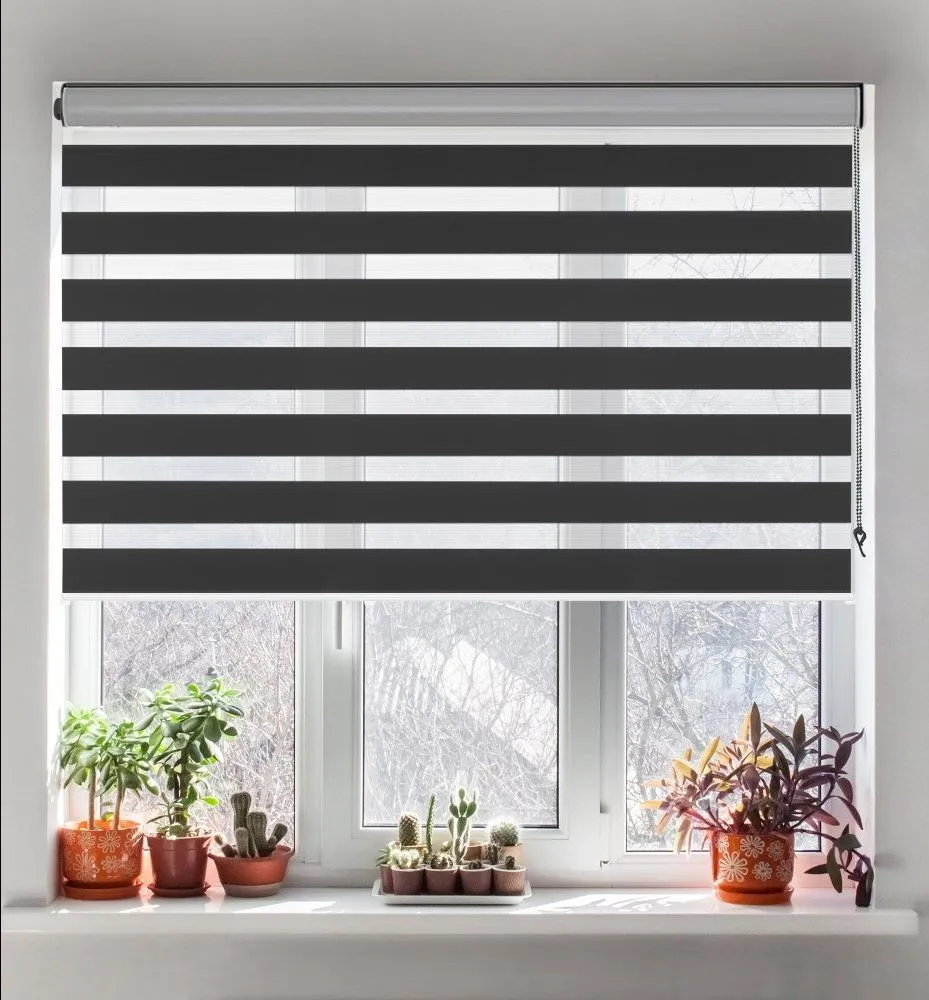 Zebra Blind view 2