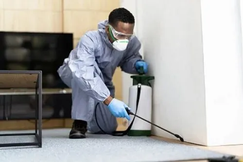Apartment Pest Control - 3 BHK (Excludes Utensil Removal)