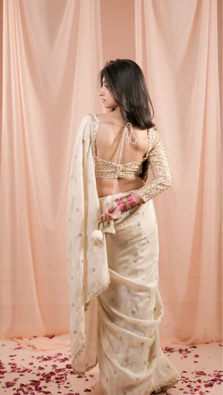 ‘Khwab’ Gold Tissue Saree view 2