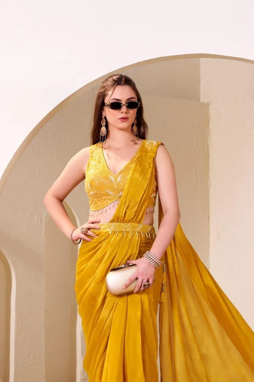 Golden Embroidered Saree view 2