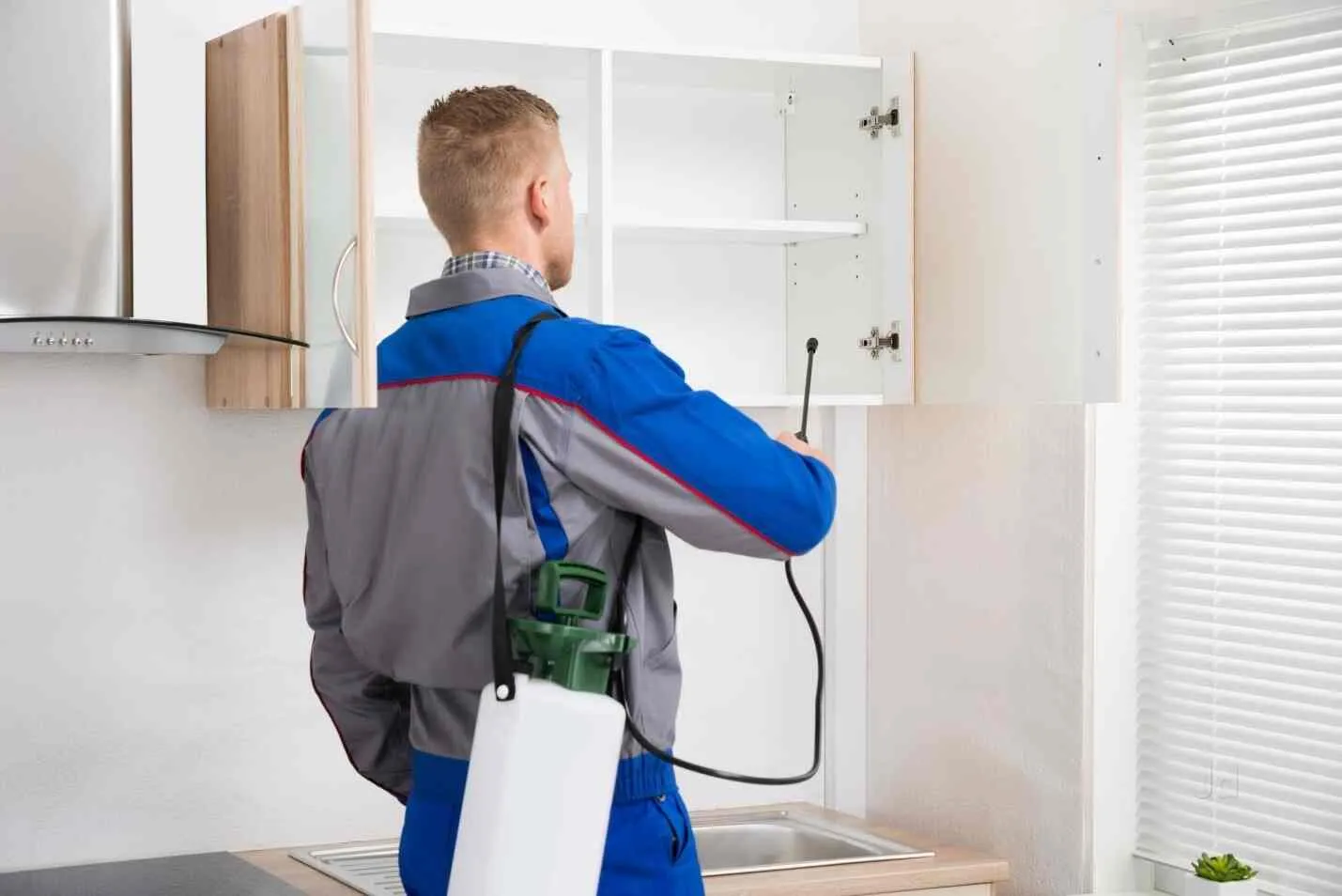 4 Bathroom & Kitchen Pest Control (Excludes Utensil Removal)
