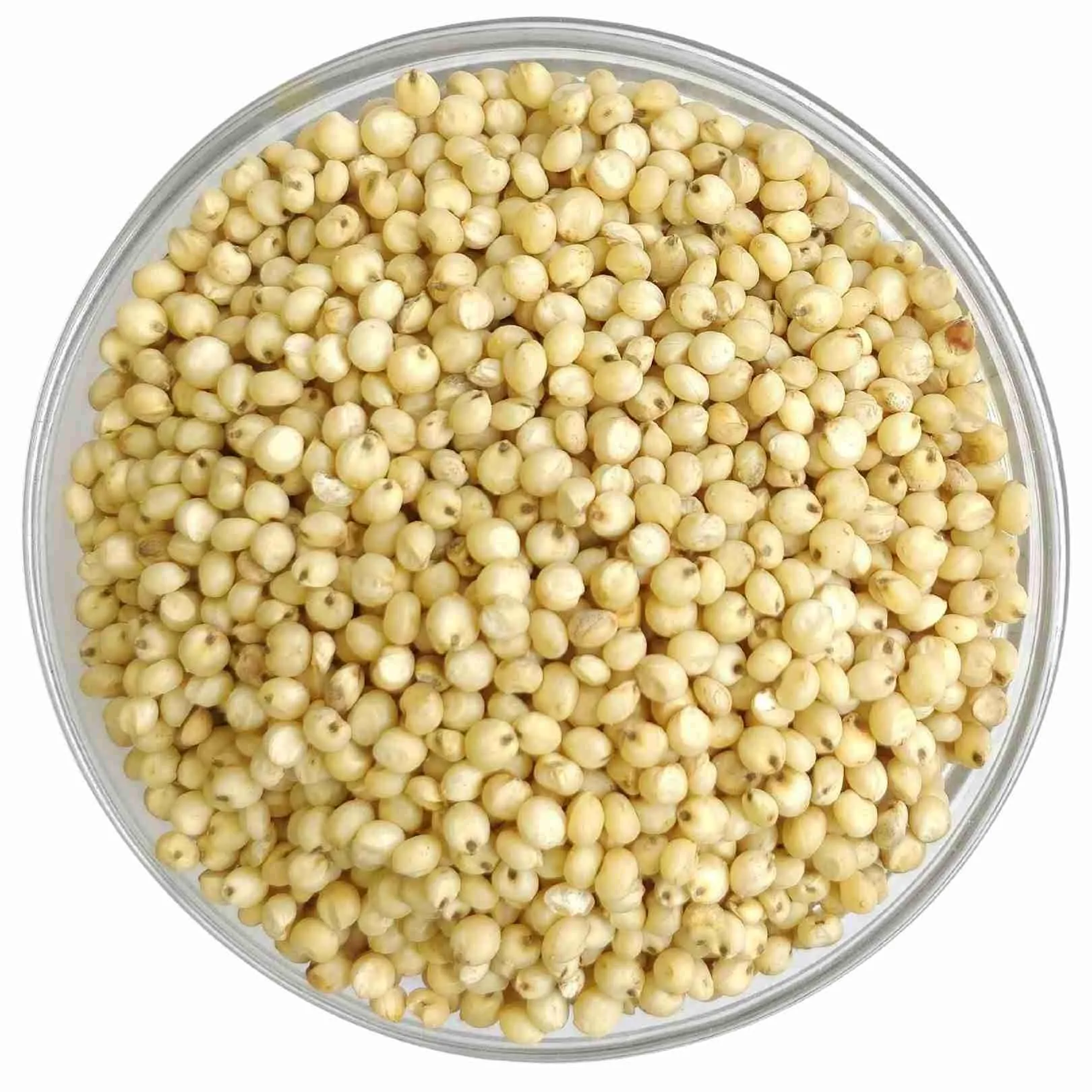 Jowar (Sorghum) 1kg view 2