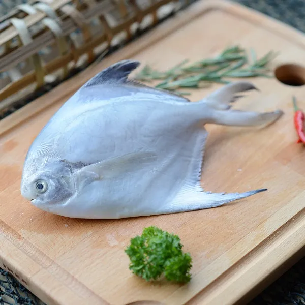 Pomfret Fish view 2