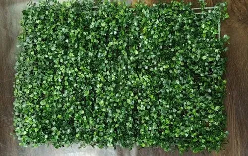 Chana Patti Vertical Green Garden view 2
