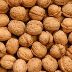 Chilean Walnut Inshell 500gm (Shabut Akhrot) 36+ view 2