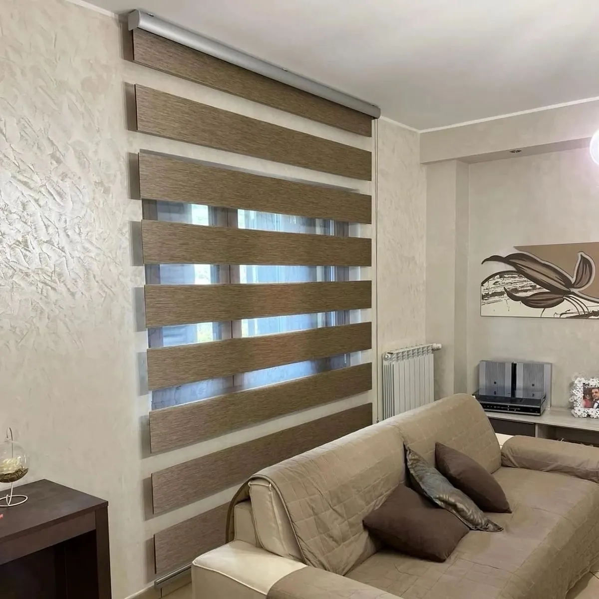 Zebra Blind view 5