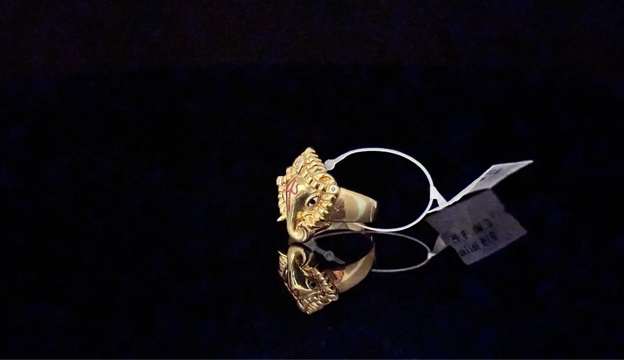 Ring 5 view 2