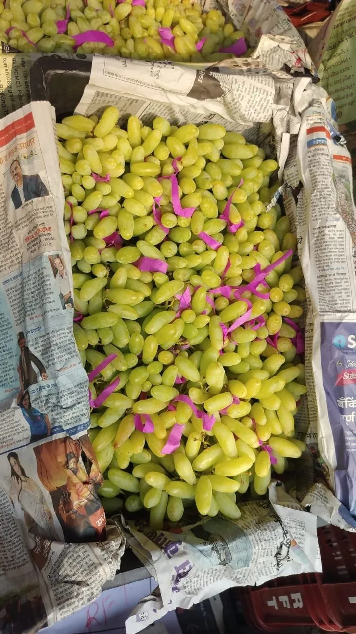 Green Grapes view 3