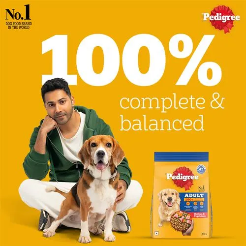 Pedigree Dry Dog Food - Adult, Chicken & Vegetables 370 g view 3