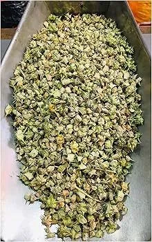 Gokshura ( Chota Gokhru) 100gm view 3