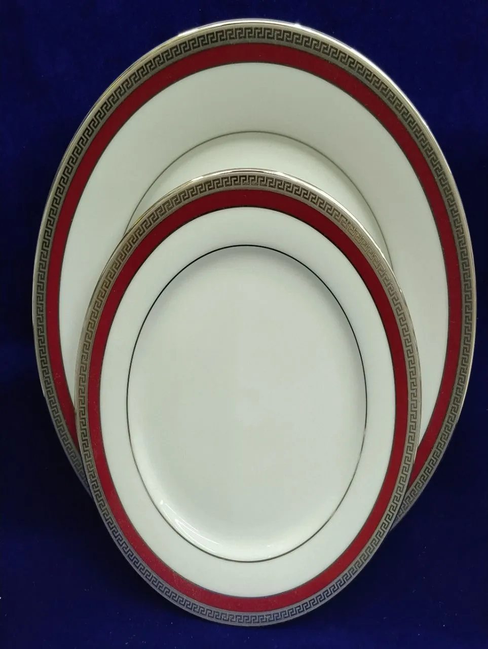 Elegant Dinner Plates Dankotua view 2