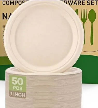 Biodegradable Plates (Sugercane) view 2