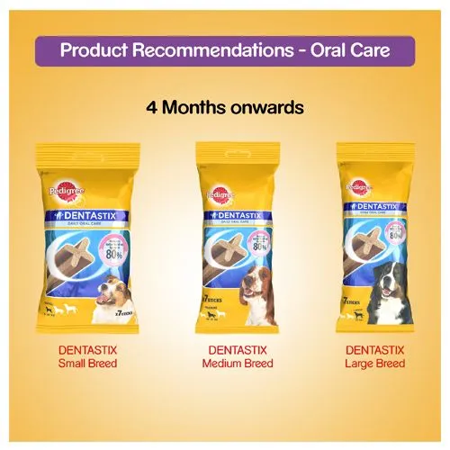 Pedigree Jumbone Treats For Adult Dogs - Chicken & Rice 200 g view 4