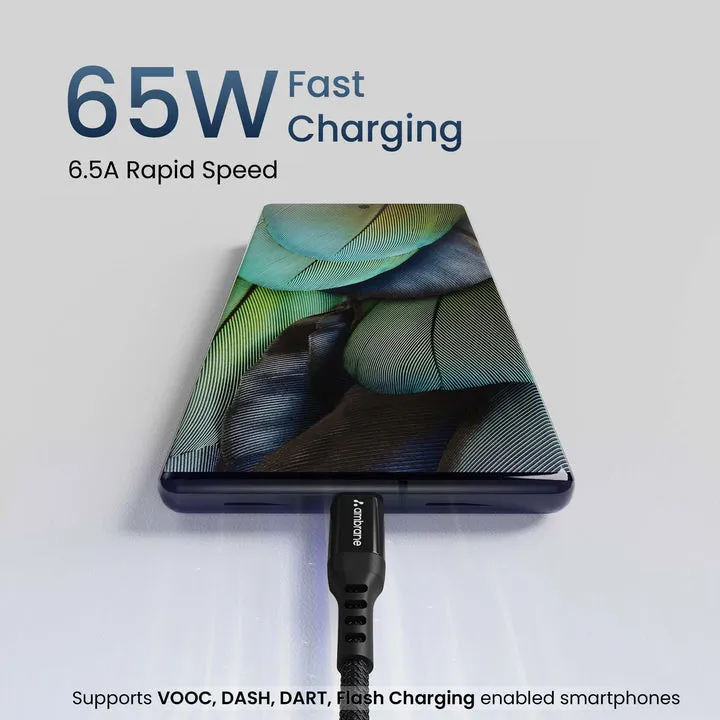 Ambrane 65 W Type C Cable view 2