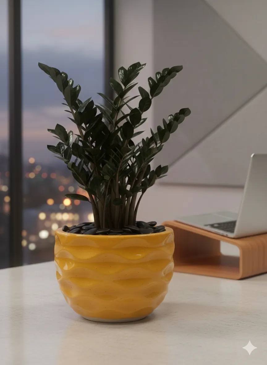 Decorative Potted Plant view 2