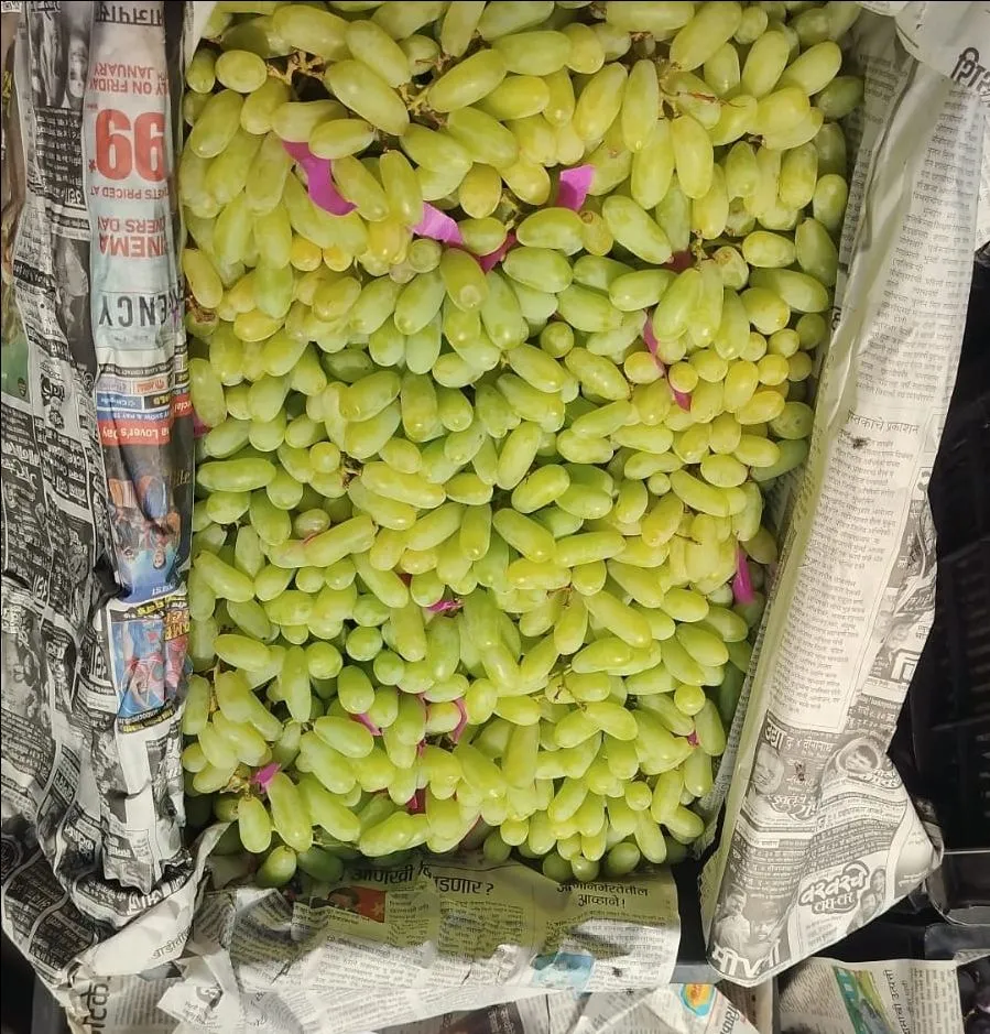 Green Grapes view 4