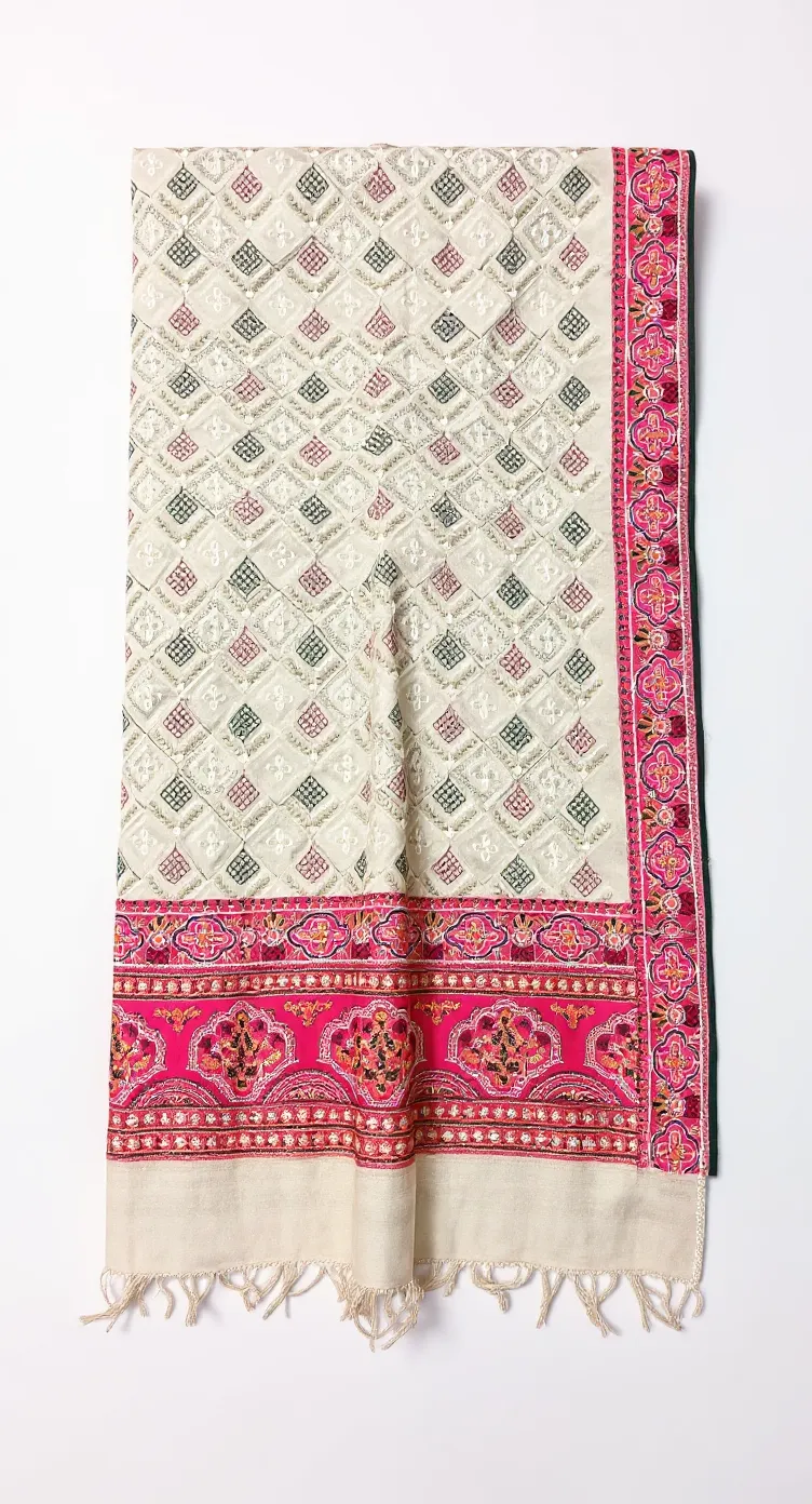 Orenza Embroidered Saree view 2