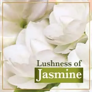 Lux Velvet Glow Jasmine & Vitamin E Beauty Soap (Pack of 5 x 100 g each) view 2