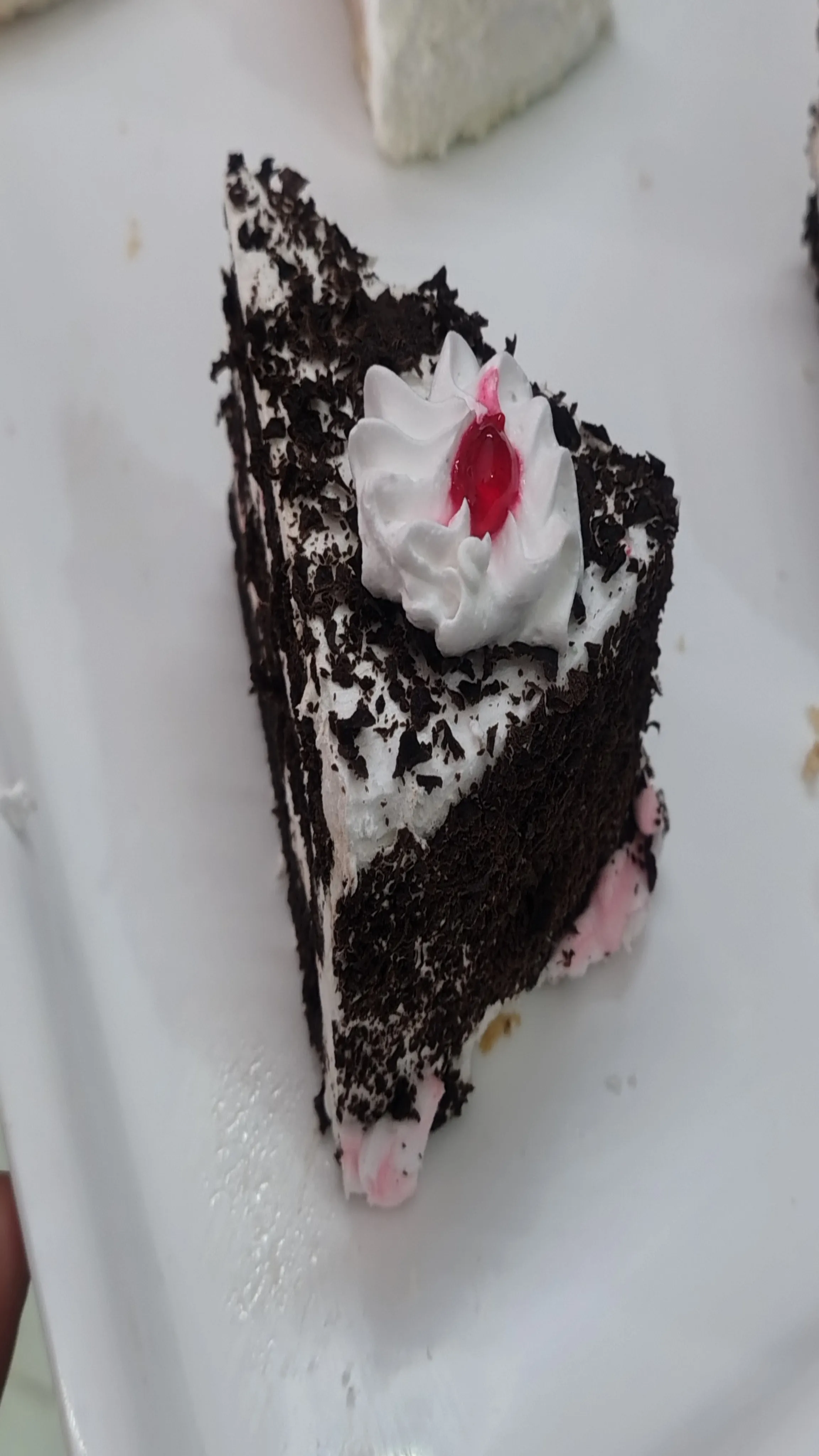 Chocolate Cake Slice view 2