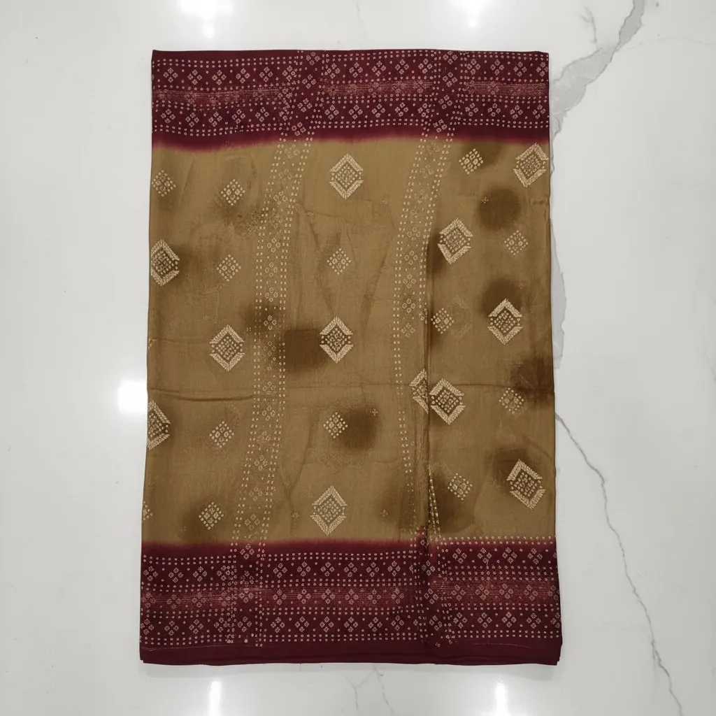 Traditional Saree view 2