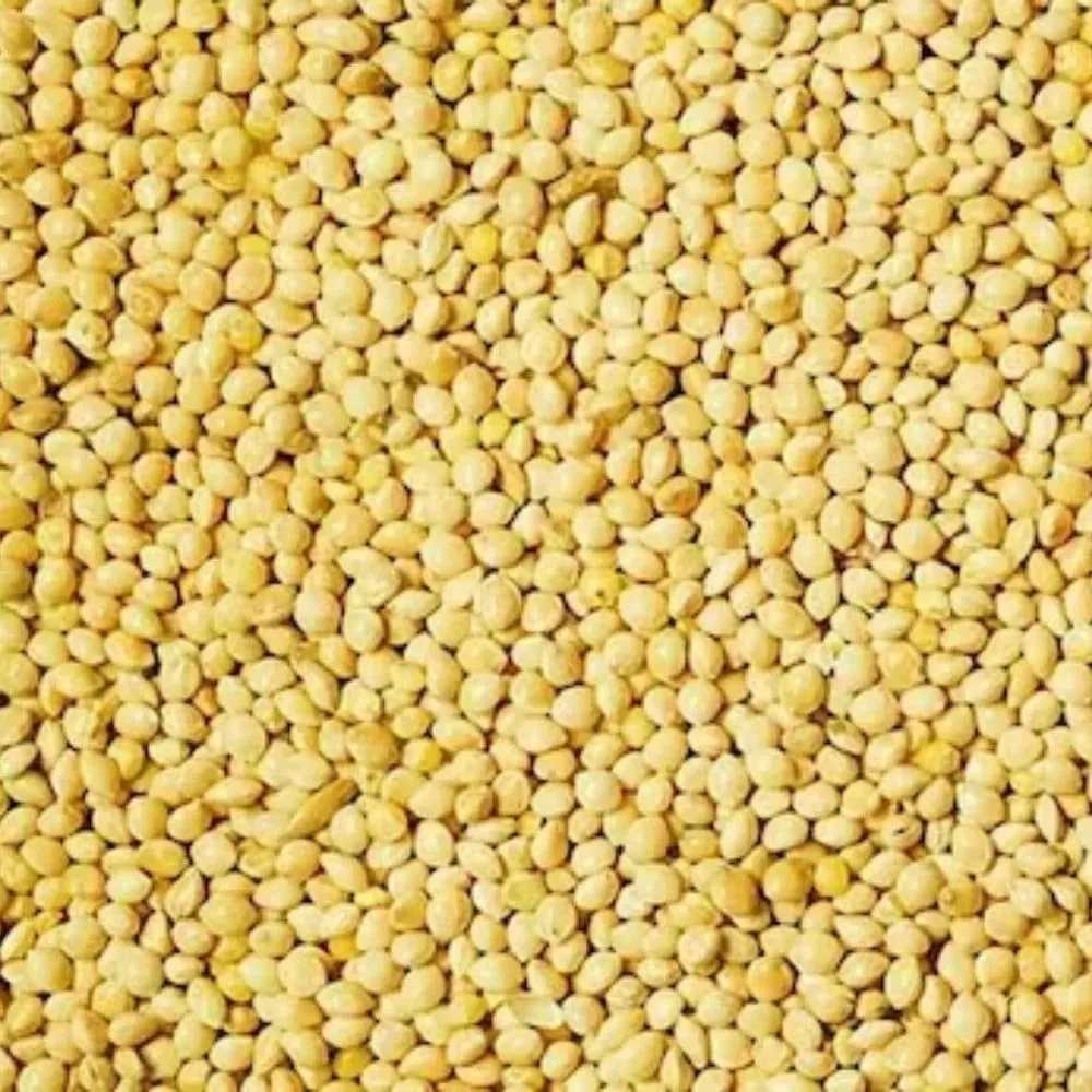 Foxtail Millet (Kangni) 1kg view 2