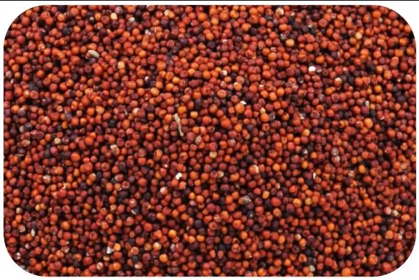 Ragi (Finger Millet) 1Kg view 2