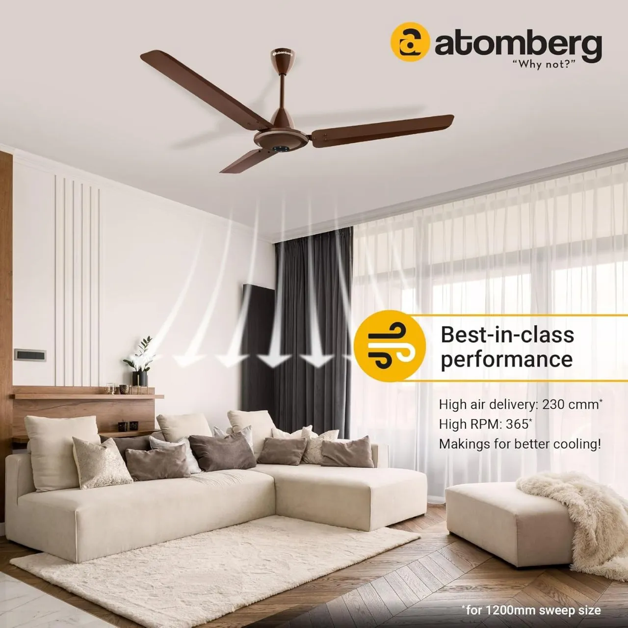 Atomberg BLDC Ikano Ceiling Fan view 2