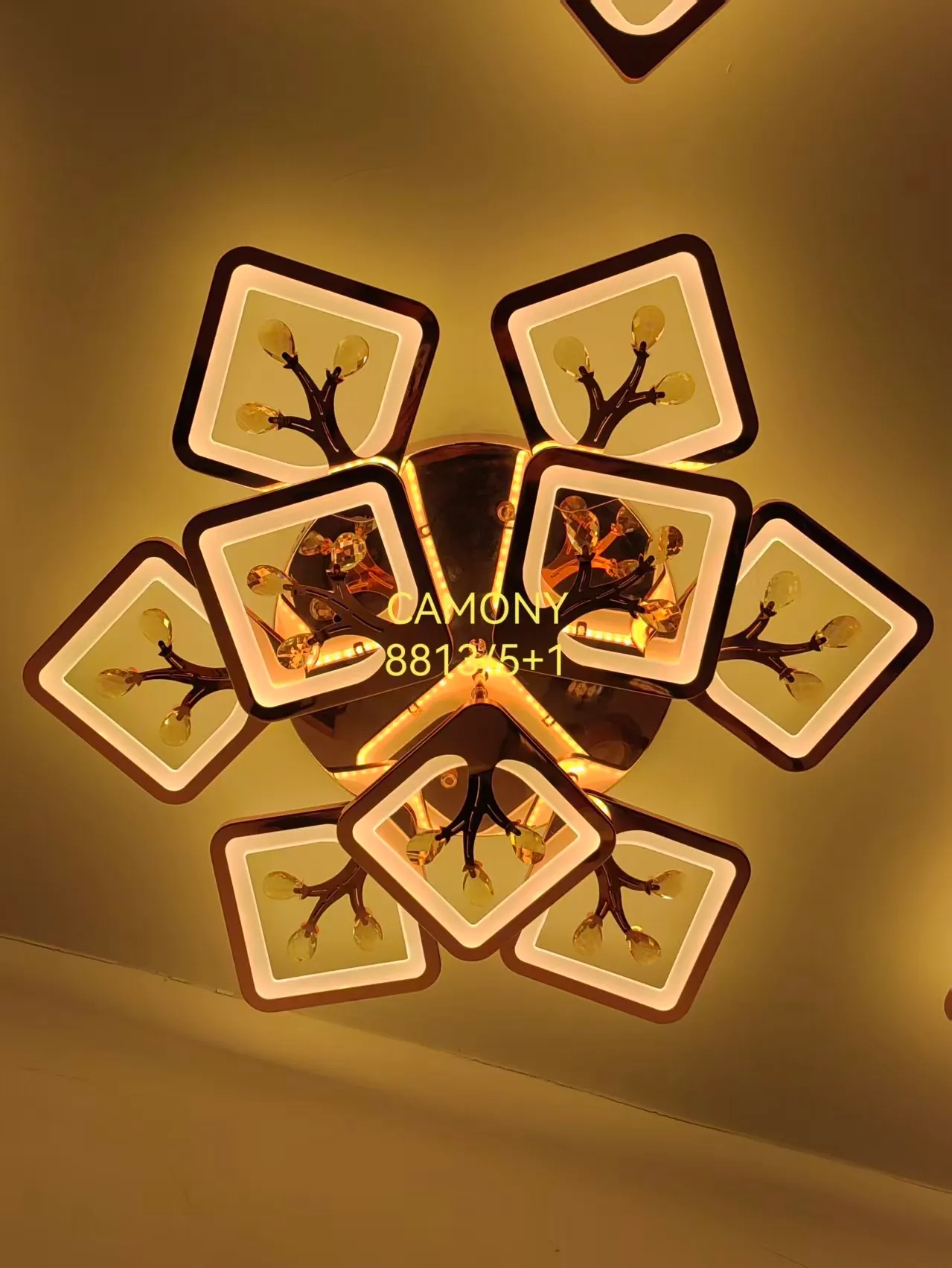 Camony 8813+5+1 Ceiling Light view 2
