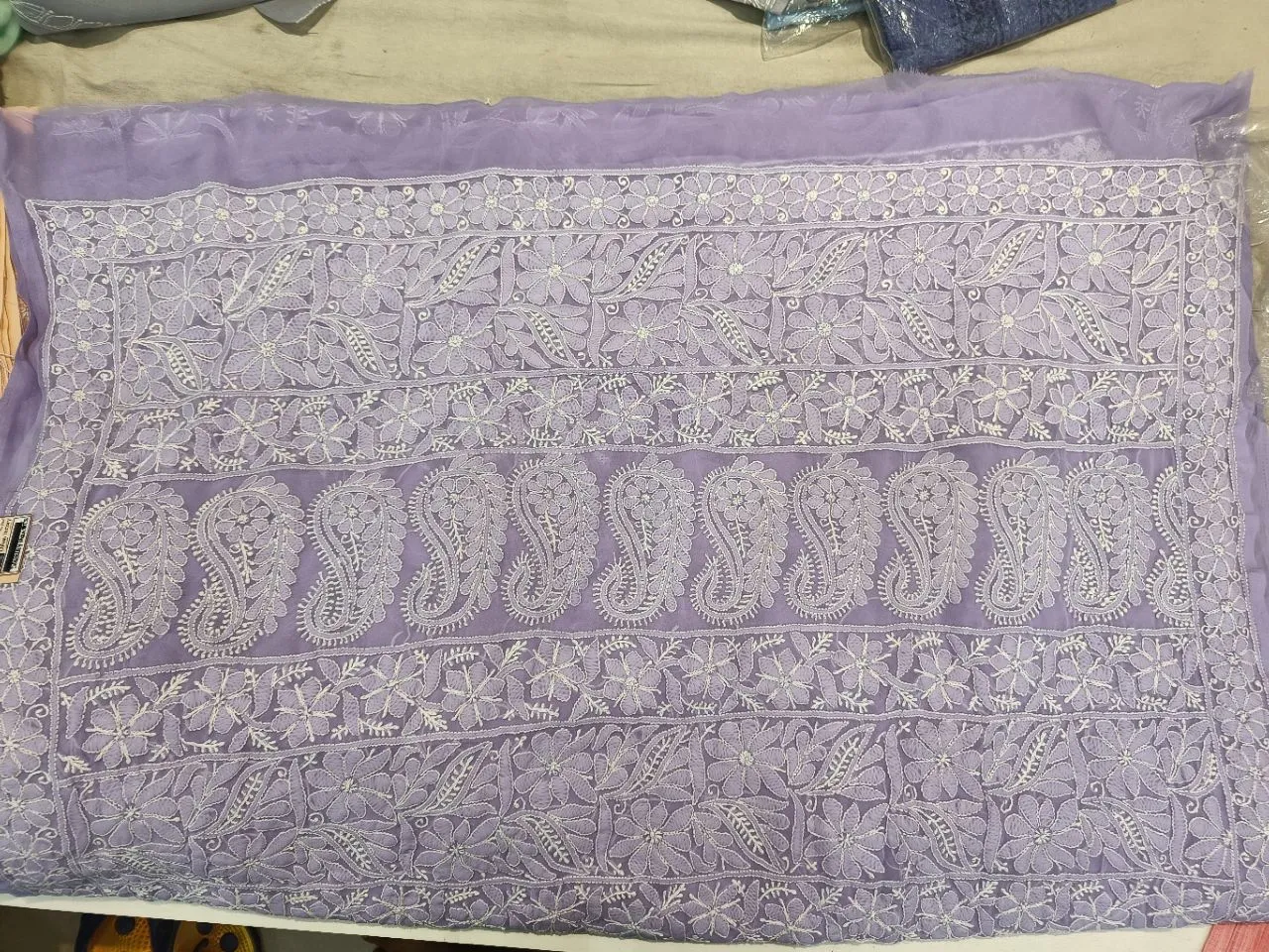 Chikankari Handwork Allower Jal Saree view 3