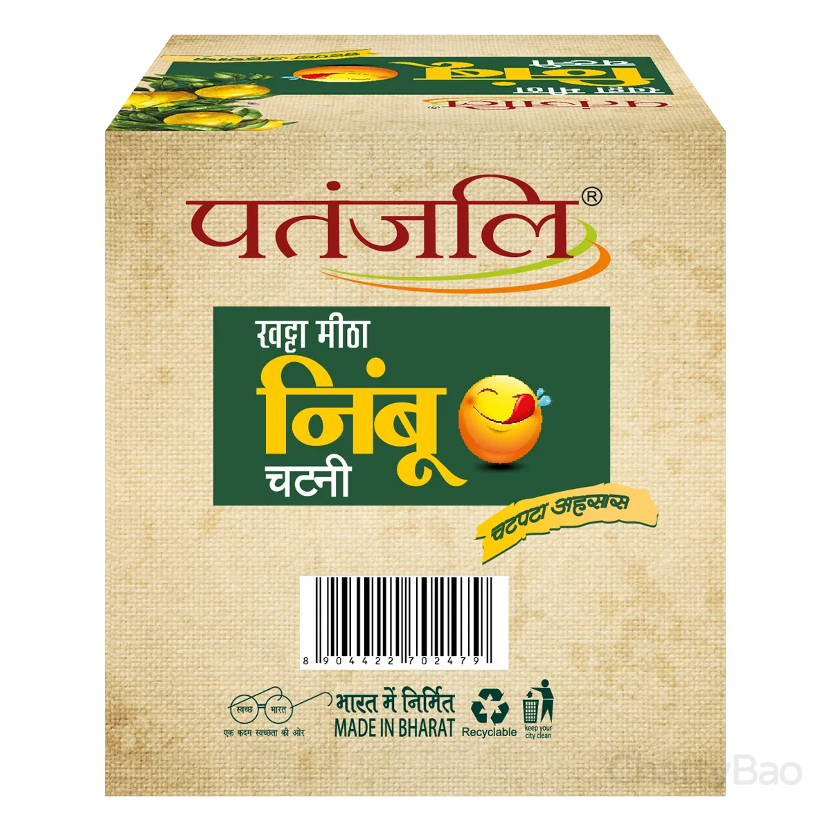 Patanjali Khatta Mitha Nimboo Chutney 250 g view 2