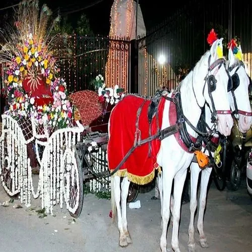Ghodi Baggi 2 Hourse view 3