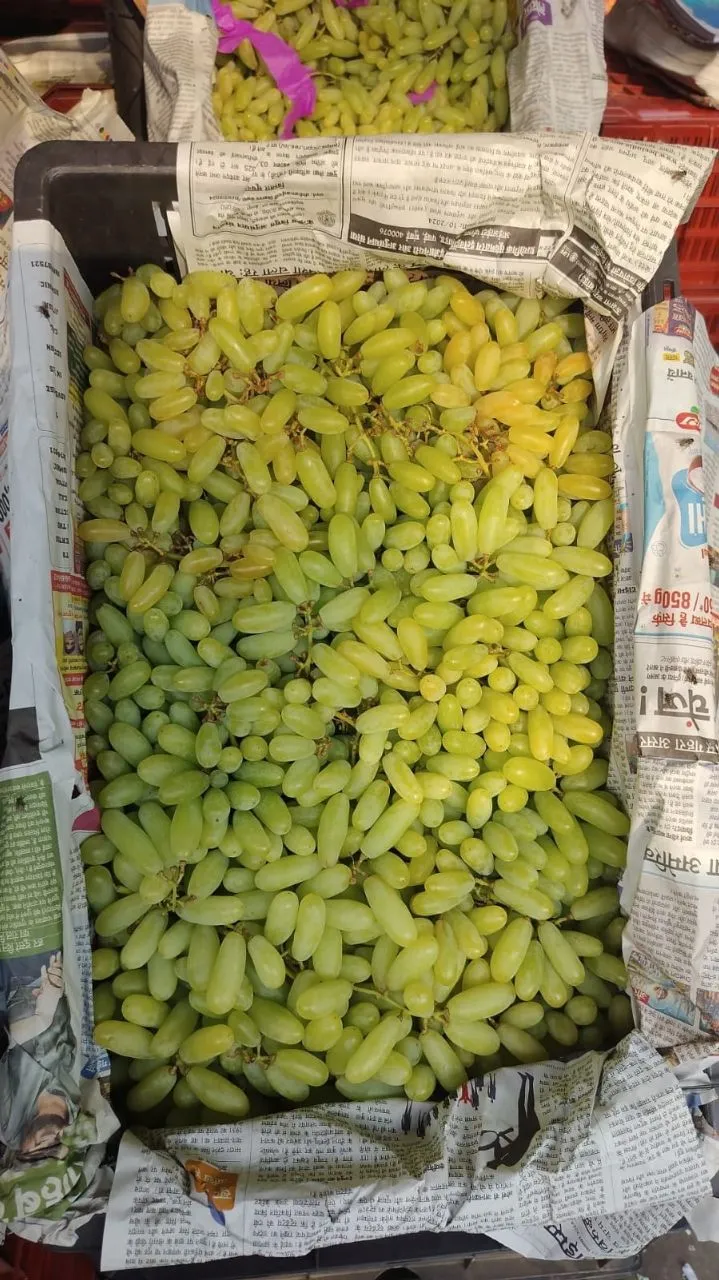 Green Grapes view 2