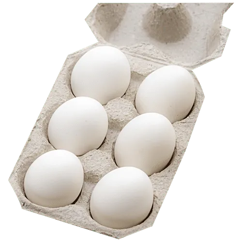 Fresh White Eggs view 2