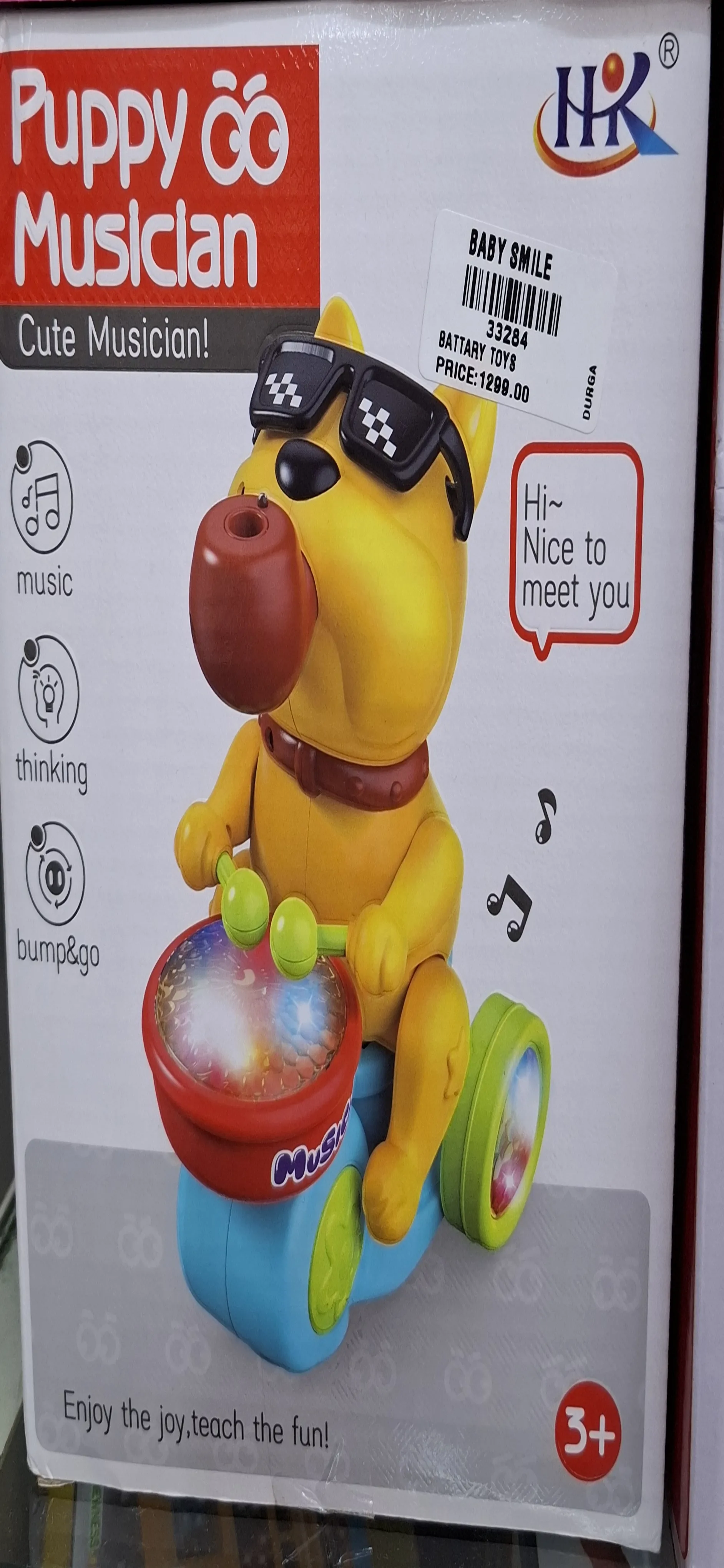 Puppy Musician view 2