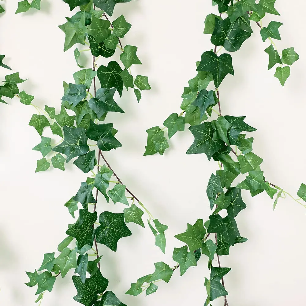 Creepers/Vines view 3