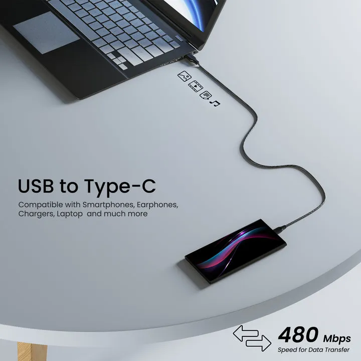 Ambrane Type C Cable view 3
