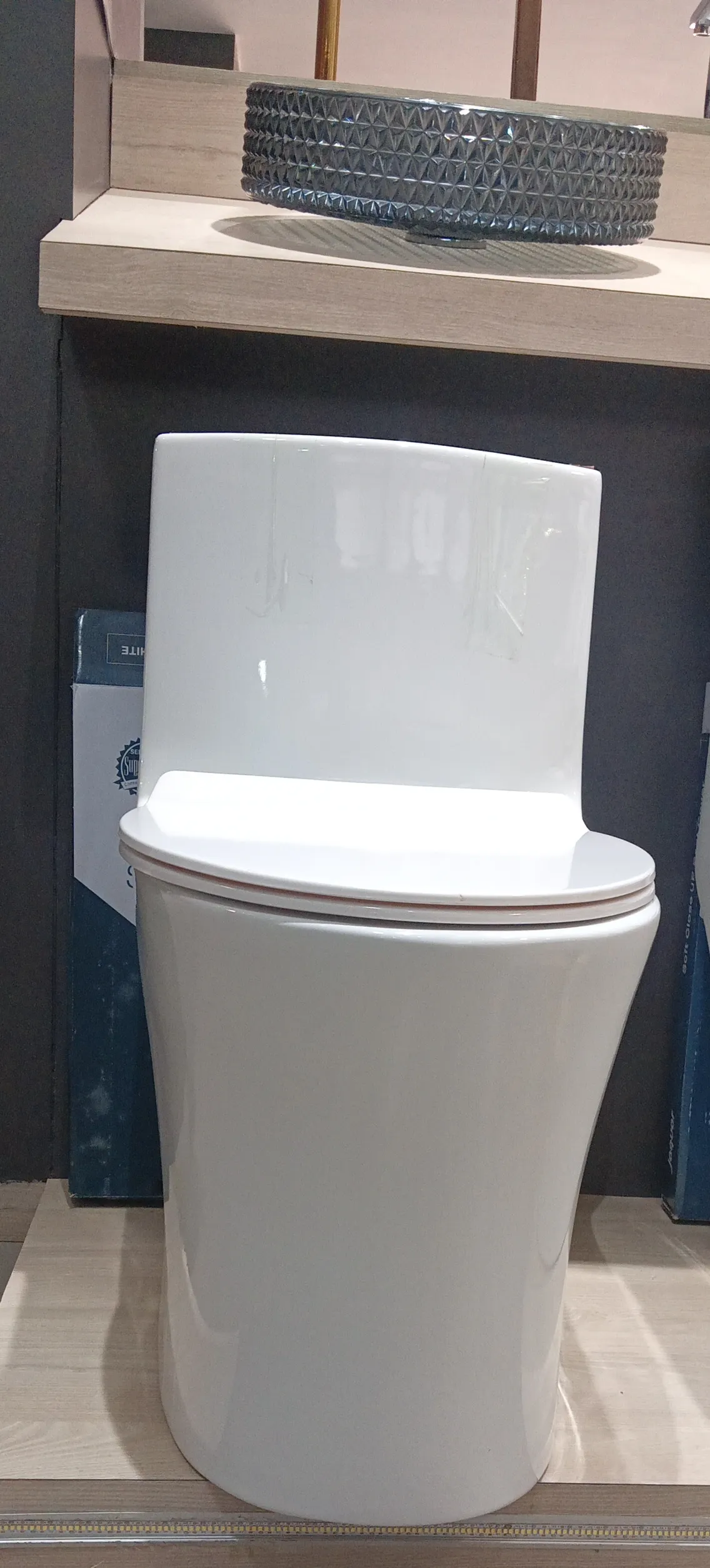 Modern Ceramic Toilets view 2