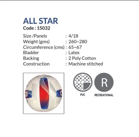 Cosco All-Star Volleyball view 2