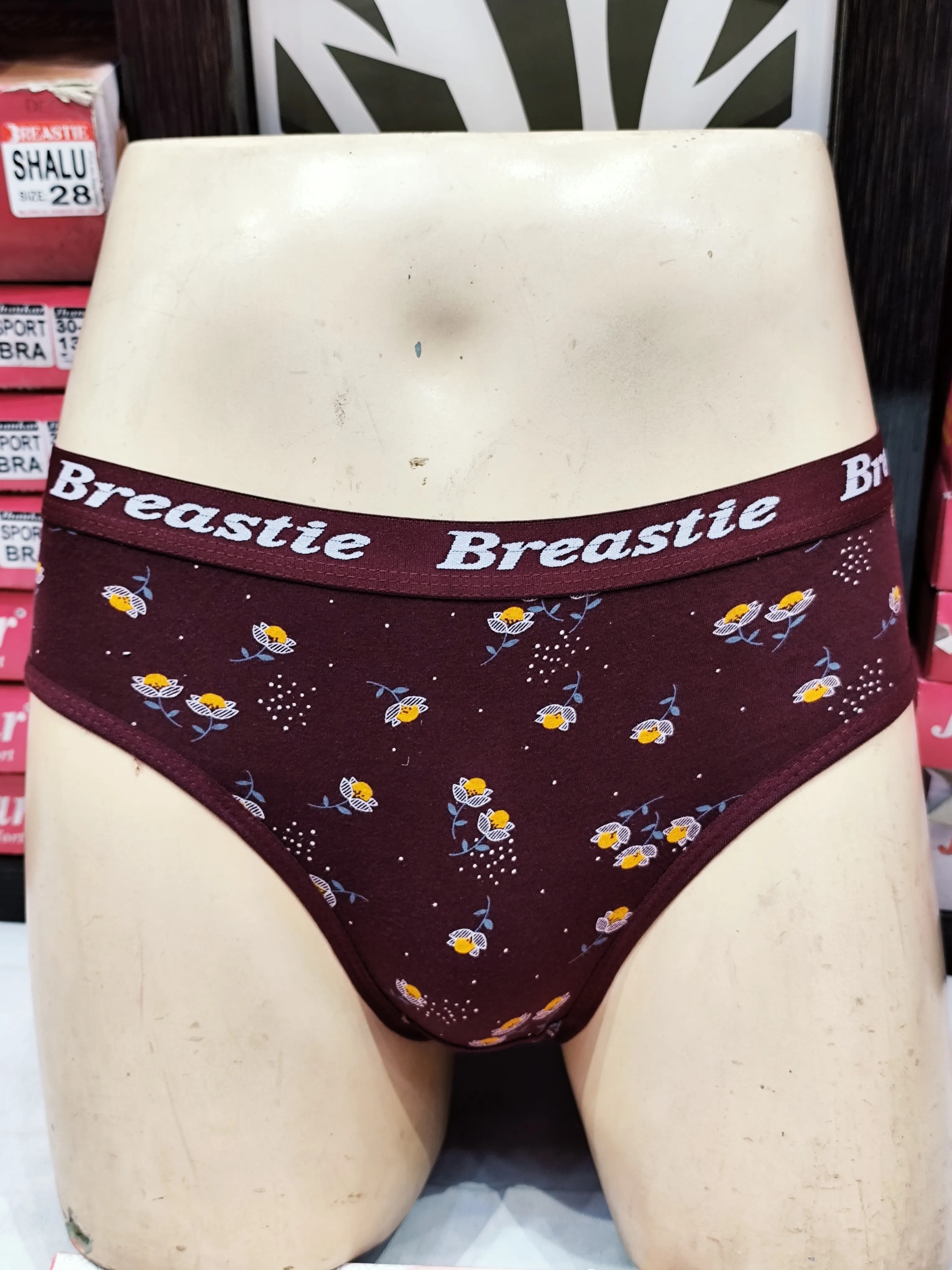 Breasttle Briefs view 2