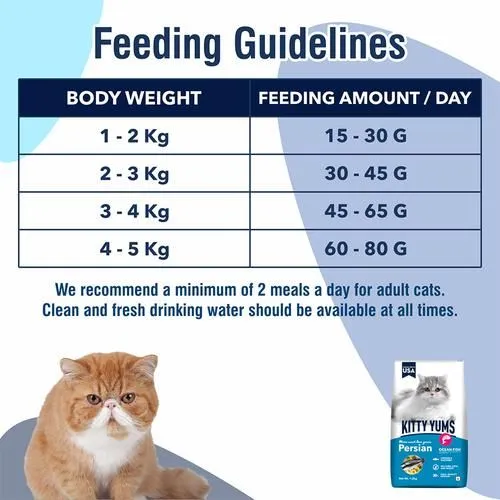 Kitty Yums Dry Cat Food - Persian, Ocean Fish like Sardines & Mackerel 50 g view 5