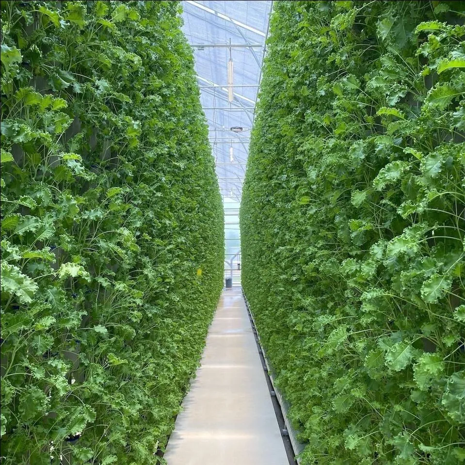 Vertical Garden view 3