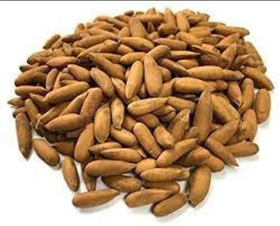 Pine Nut (Chilgoza) 100gm view 2