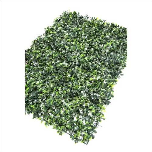 Chana Patti Vertical Green Garden view 4