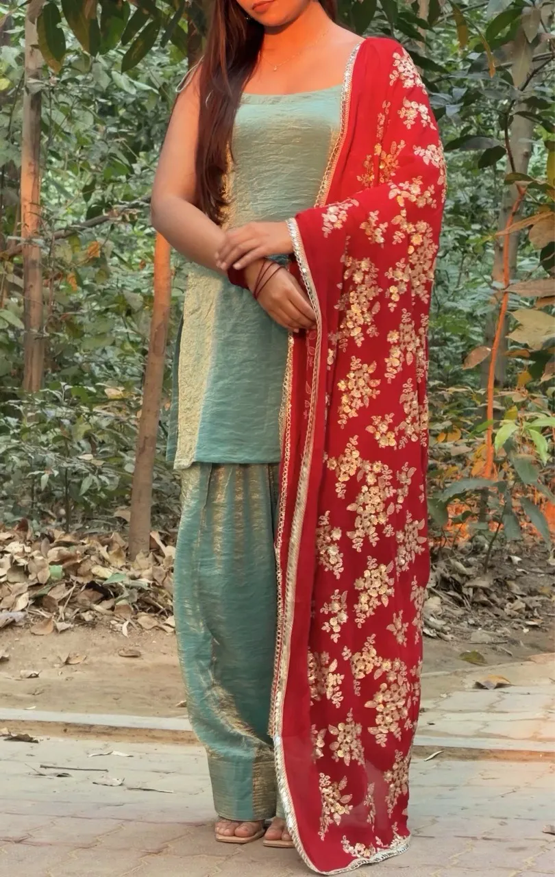 ‘Fasana’ Farshi Salvar Set- Mint Blue view 5