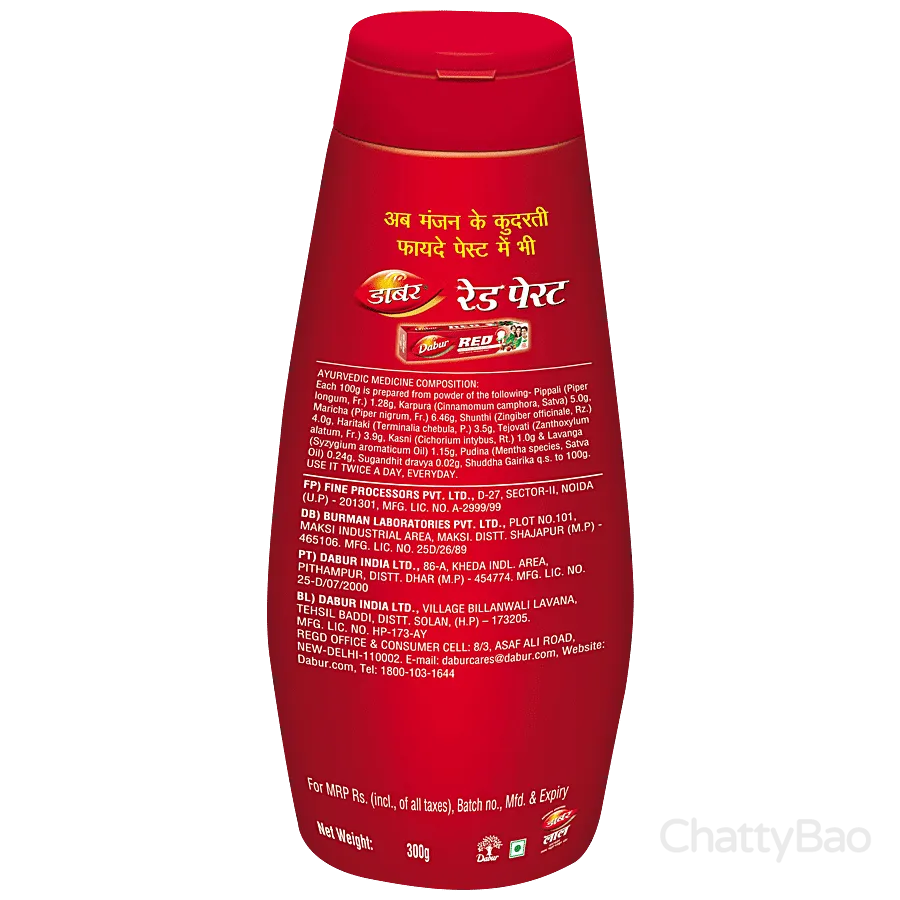 Dabur Lal Dant Manjan- Ayurvedic 300 g view 2