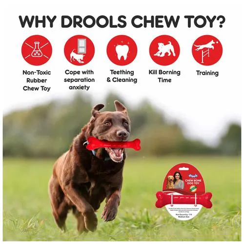 Drools Teething Toy For Puppy/Dogs - Rubber Chew Bone Medium 13 cm view 4
