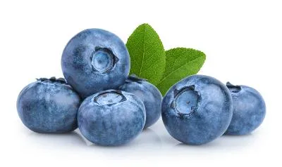 Blueberry view 4